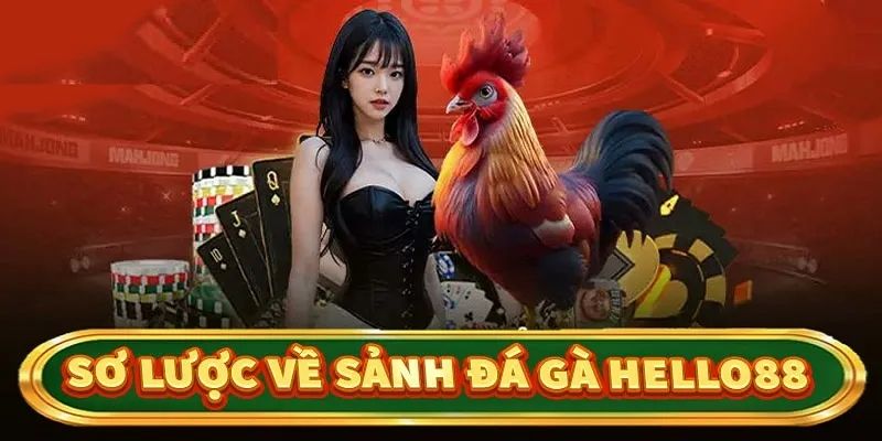 Đá gà HELLO88 - Sàn đấu quy tụ các chiến kê hùng mạnh nhất