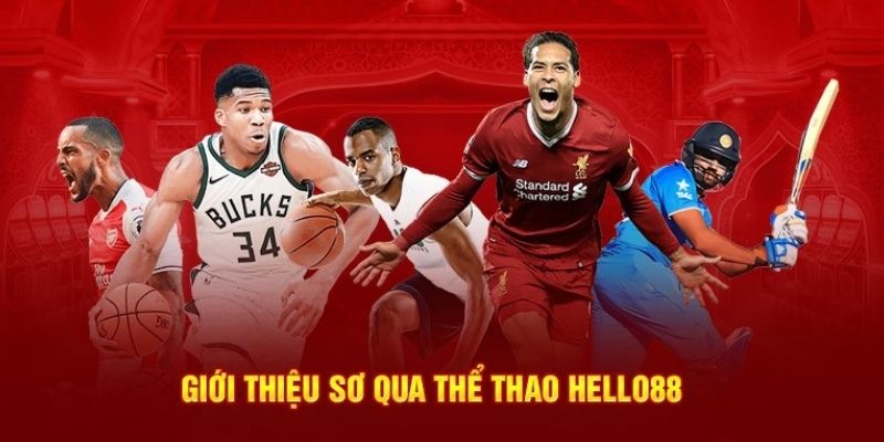 Đôi nét thông tin cần nắm về danh mục thể thao Hello88